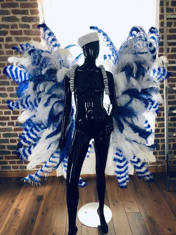 Ailes Marinière Démontables 3 Ailes Marinière Démontables