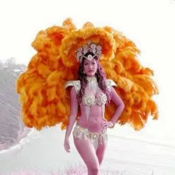 Armature En Plumes D'autruche