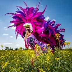 Armature De Hanches Oiseau