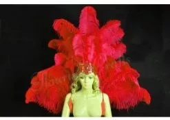 Demie Roue Et Casque