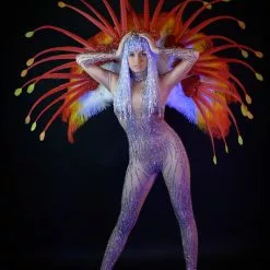 Demie Roue En Plumes Dégradées