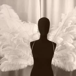 Ailes En Plumes D'autruche