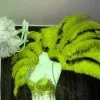 Demie Roue En Plumes Autruche Taillées -Halloween Soldes Magasin 800x800 1046