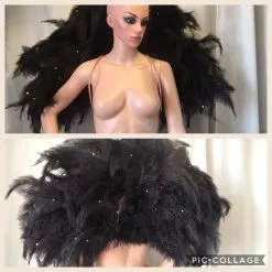 Demie Roue En Plumes De Floss