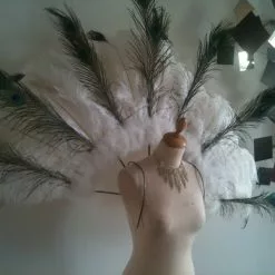 Dos En Autruche Et Paon