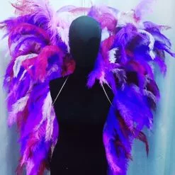 Ailes En Plumes De Floss