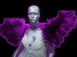 Armature épaulettes En Plumes D'oie