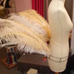 Armature De Hanches En Autruche