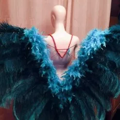 Dos En Plumes D'autruche