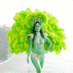 Dos En Plumes D'autruche