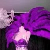 Demie Roue En Autruche Taillée -Halloween Soldes Magasin 800x800 1069