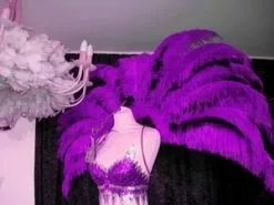 Demie Roue En Autruche Taillée