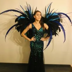 Dos De Plumes Sans Armature