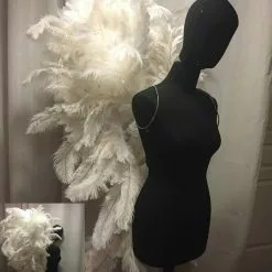 Ailes En Plumes D'oie , Floss Autruche