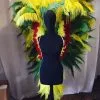 Ailes En Plumes D'autruche -Halloween Soldes Magasin 800x800 1083