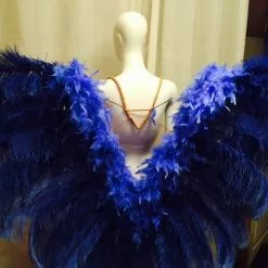 Dos De Plumes En Autruche