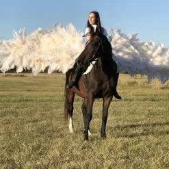 Selle XXL Avec Ailes Et Croupe