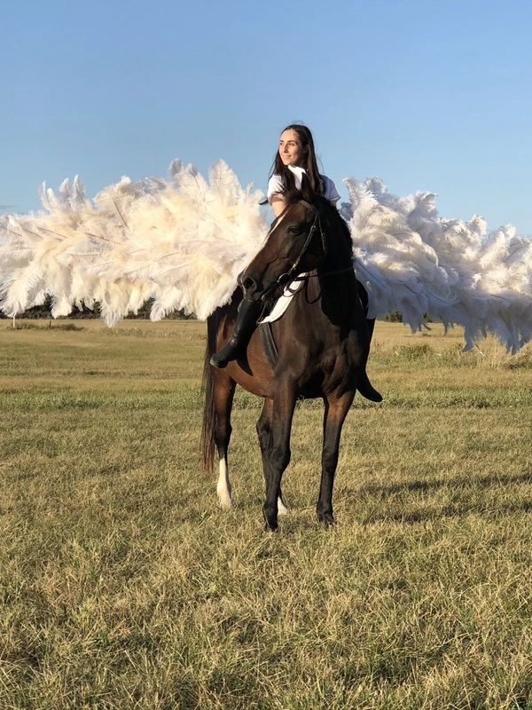 Selle XXL Avec Ailes Et Croupe 3 Selle XXL Avec Ailes Et Croupe