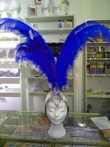 Crête En Plumes Autruche