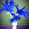 Casque En Plumes De Coq -Halloween Soldes Magasin 800x800 110