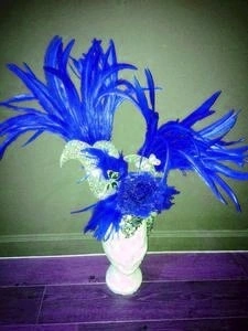 Casque En Plumes De Coq