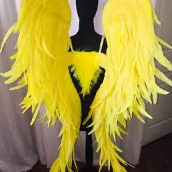 Ailes En Plumes De Coq Démontables