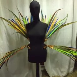 Armature De Hanches En Faisan