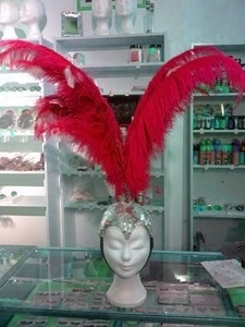 Crête En Plumes Autruche