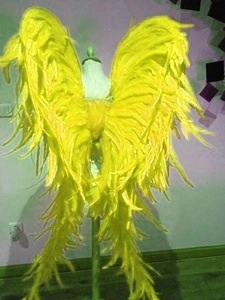 Ailes En Plumes De Coq