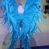 Ailes En Plumes De Coq -Halloween Soldes Magasin 800x800 1124