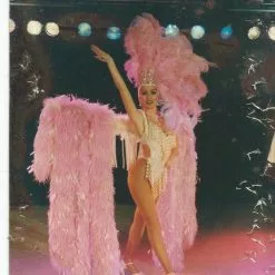 Cascade De Boas Autruche Et Casque