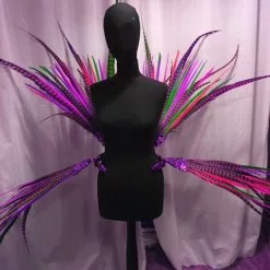 Armature De Hanches En Faisan