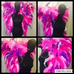 Ailes En Plumes De Floss