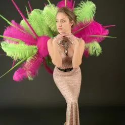 Armature De Hanches Plumes