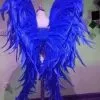 Ailes En Plumes De Coq -Halloween Soldes Magasin 800x800 1145