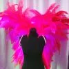 Ailes En Plumes De Floss -Halloween Soldes Magasin 800x800 1148