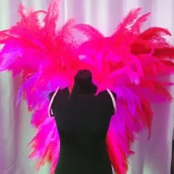 Ailes En Plumes De Floss