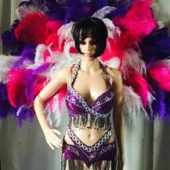 Grande Demie Roue Autruche Et Floss