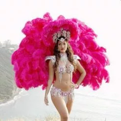 Armature En Plumes D'autruche