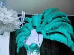 Demie Roue En Autruche Taillée