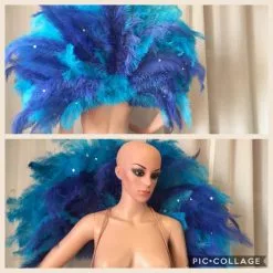 Demie Roue En Plumes De Floss