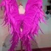 Ailes En Plumes De Coq -Halloween Soldes Magasin 800x800 1173