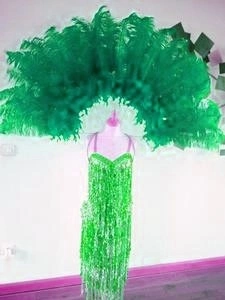 Demie Roue Haute En Autruche