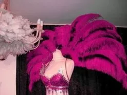 Demie Roue En Autruche Taillée