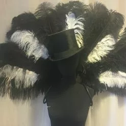 Demie Roue En Autruche Drabs Cabaret