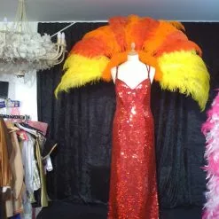 Demie Roue En Autruche