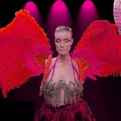 Dos En Plumes D'autruche Et Oie