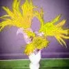 Casque En Plumes De Coq -Halloween Soldes Magasin 800x800 120