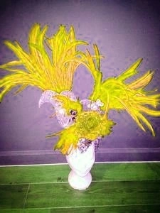 Casque En Plumes De Coq