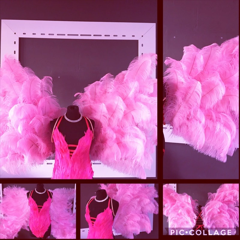 Ailes En Plumes D'autruche 3 Ailes En Plumes D'autruche